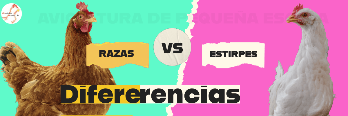 razas vs estirpes (2)