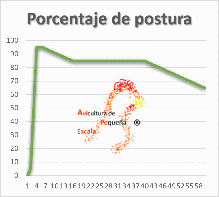 Porcentaje de postura 2