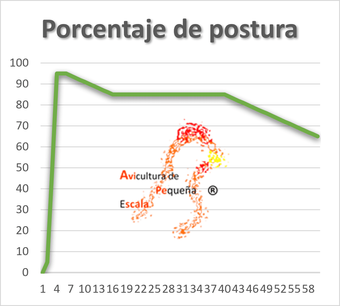 ¿Qué es el porcentaje de postura y cómo sacarlo?