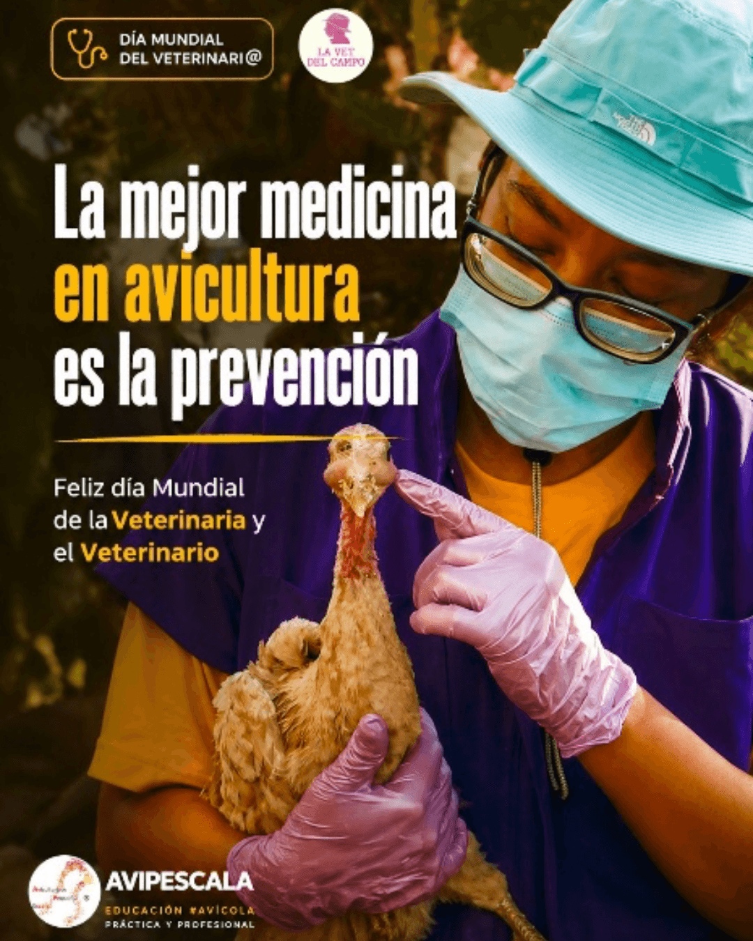 Equipo de médicas y médicos